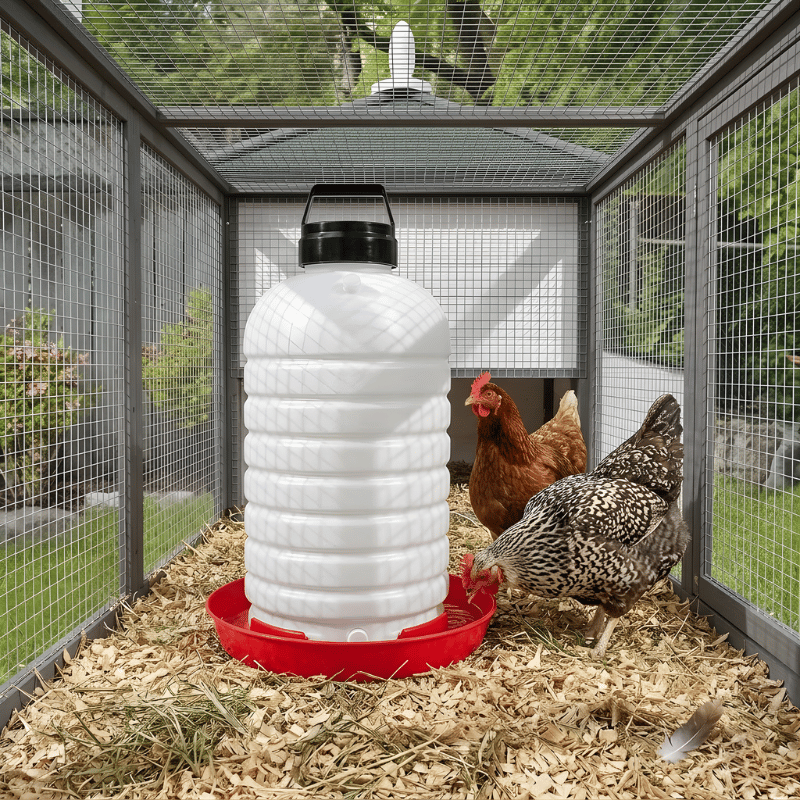Two chickens in a coop with a white chicken waterer