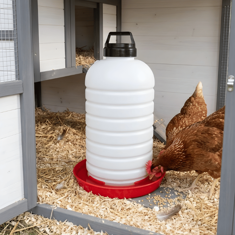 White plastic chicken waterer with a black cap on a red base in a chicken coop.