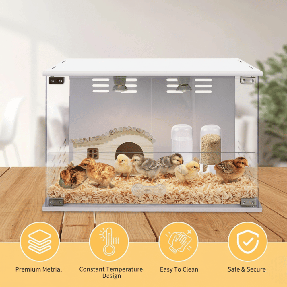 Chicken brooder with chicks inside on a wooden floor, featuring text about its features.