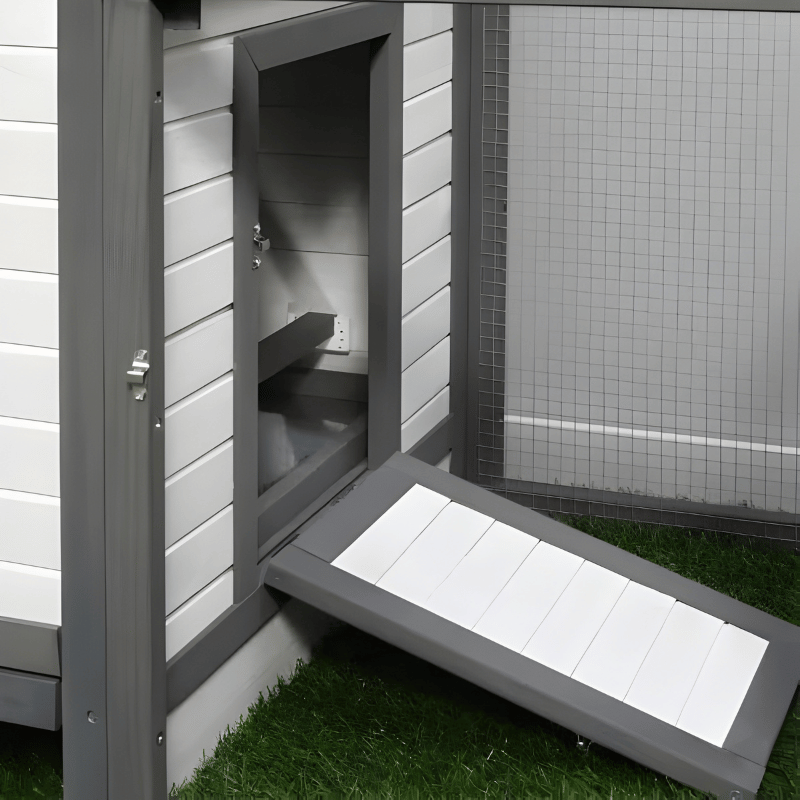 Chicken coop shed with open door on a grassy area