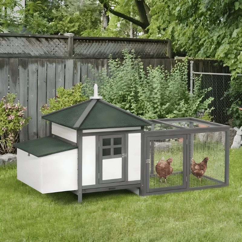 Chicken coop with two chickens in a garden setting