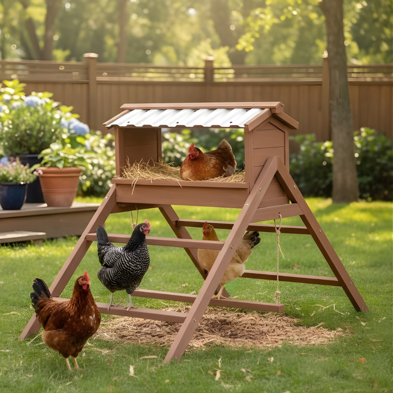 Wooden chicken coop with chickens in a backyard setting