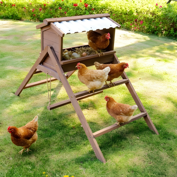 Wooden chicken coop with chickens on a grassy outdoor area