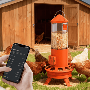 Smart chicken feeder with app control in front of a wooden coop with chickens.