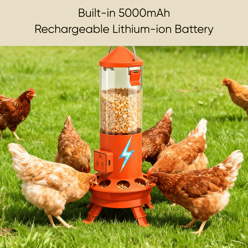 Orange automatic chicken feeder with a built-in 5000mAh rechargeable lithium-ion battery, surrounded by chickens on grass.