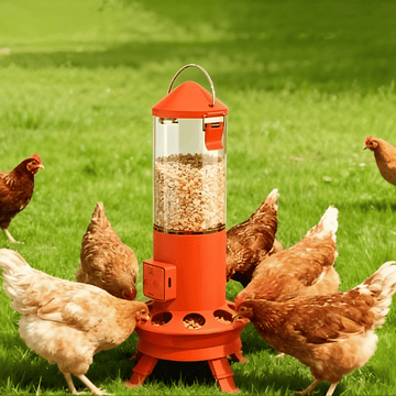 Red automatic chicken feeder with chickens around it on a grassy field