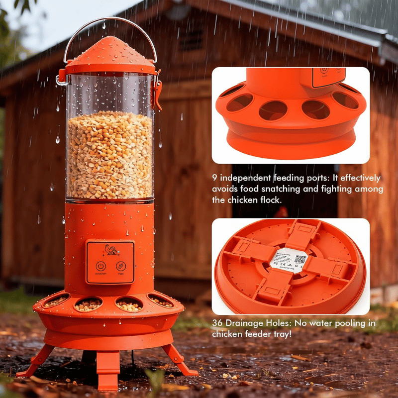 Orange automatic chicken feeder with detailed features on a rainy day, showing food inside and close-up views.