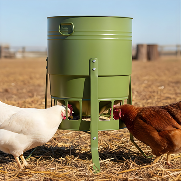 Green poultry feeder with chickens eating on a farm