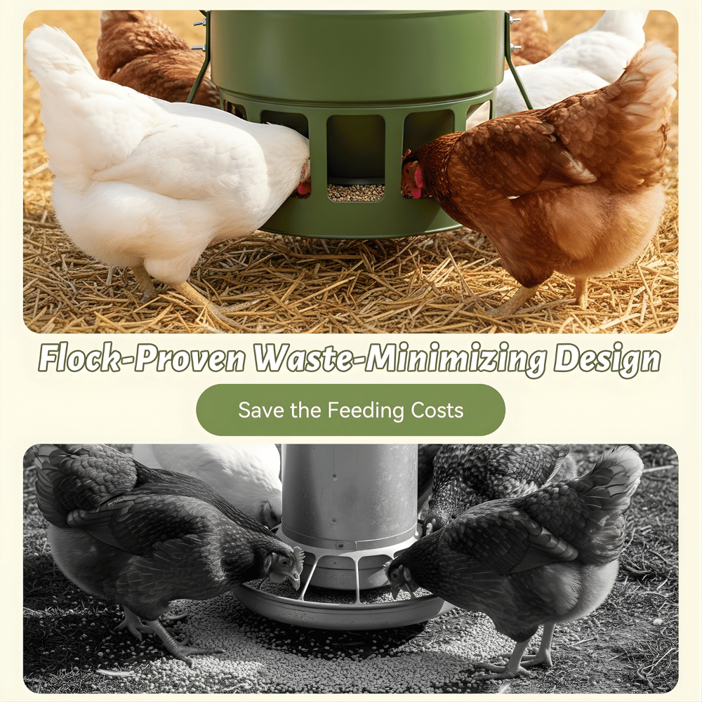 Hens feeding from a green poultry feeder on straw bedding.