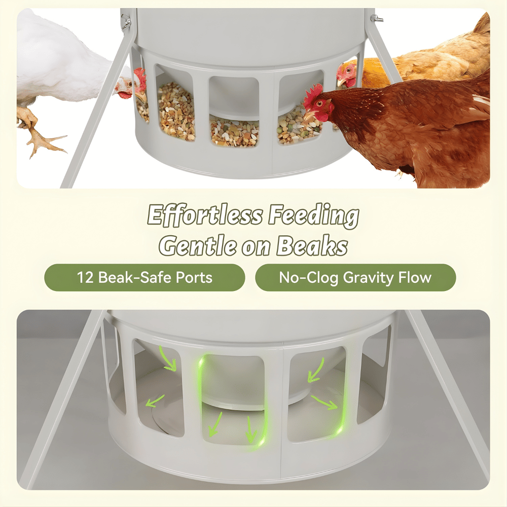 Chicken feeder with text highlighting features and images of chickens using it.