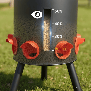 Chicken feeder with a visible seed level indicator on a grassy background
