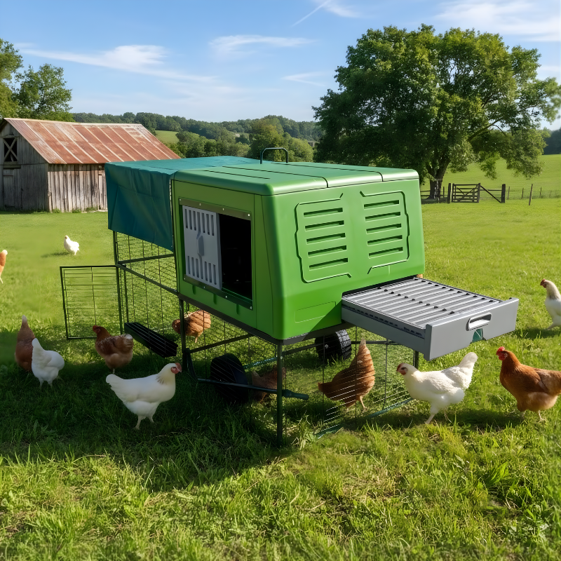 Green plastic chicken coop with chickens in a grassy field