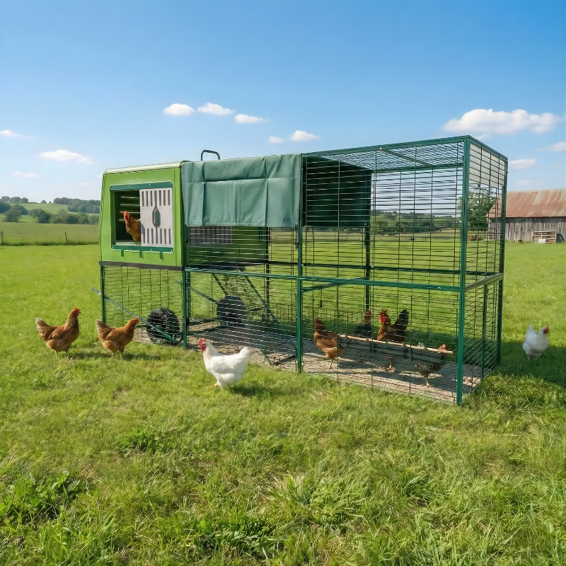 Green chicken coop with chickens in a grassy field