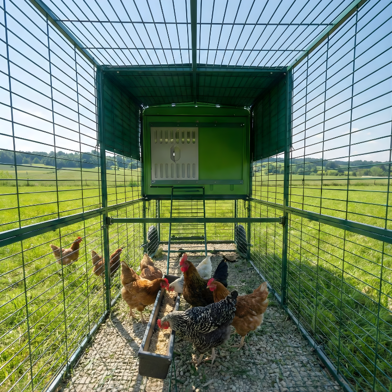 Green poultry coop with chickens inside, set against a grassy field.