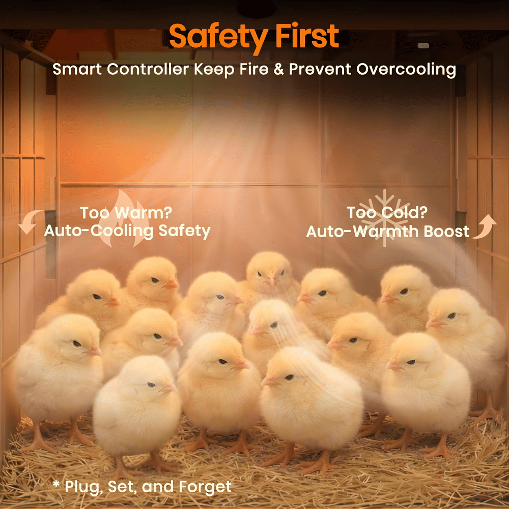 Group of chicks in a controlled environment with text about safety features for a smart controller.