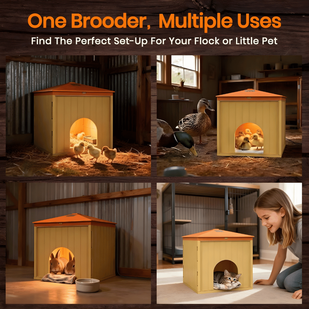 Collage of a brooder with various animals inside smart chick heater box, including chicks, ducks, and a cat, with text highlighting multiple uses.
