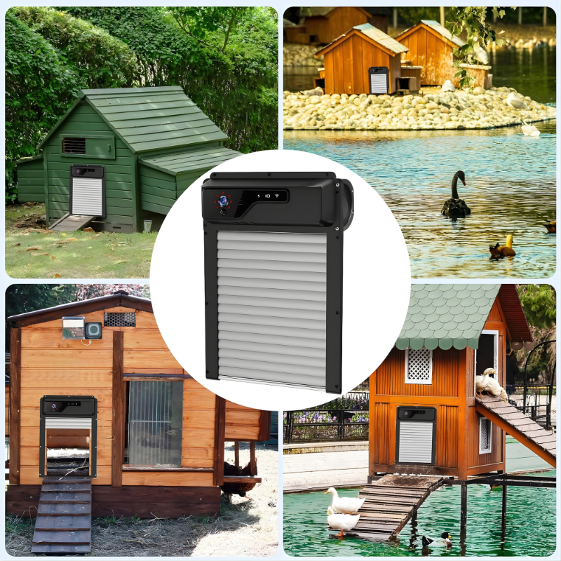 SmartGuard Solar Coop Door