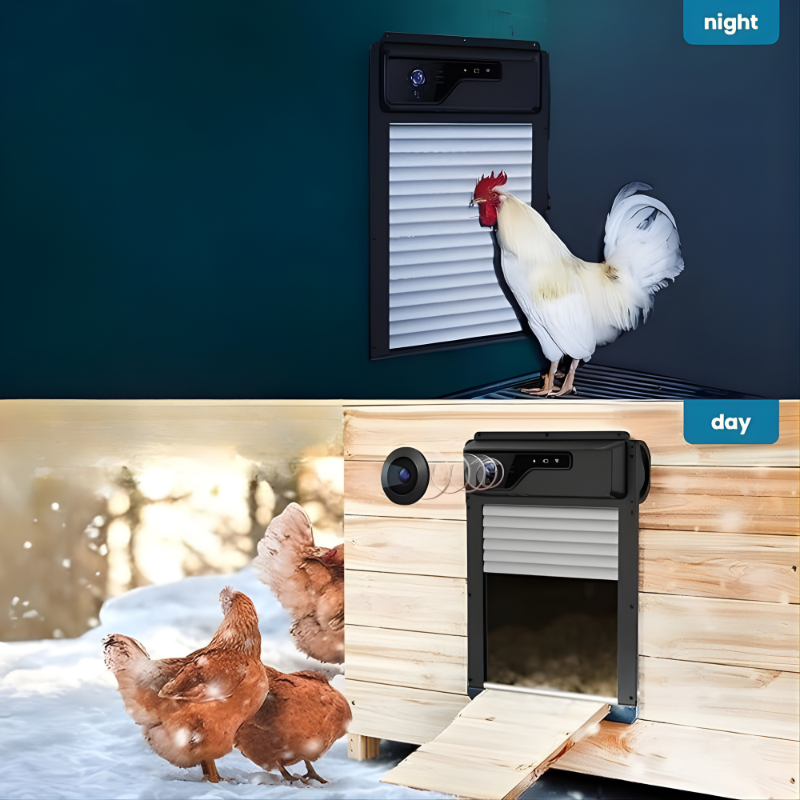 Chicken coop with electronic door and chickens, day and night view comparison.