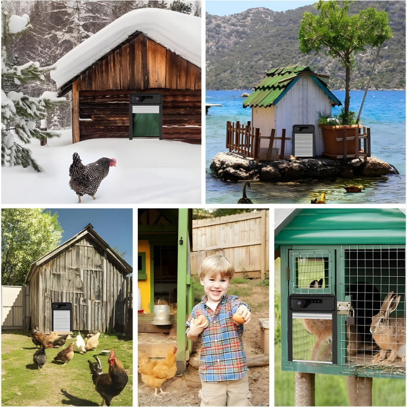 SmartGuard Solar Coop Door