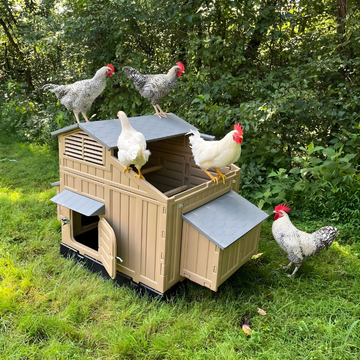 Chicken coop with chickens on a grassy area