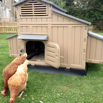 Beige chicken coop with open door on grass, chickens nearby