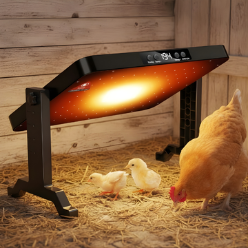 Infrared pad for poultry with chickens around a wooden wall background