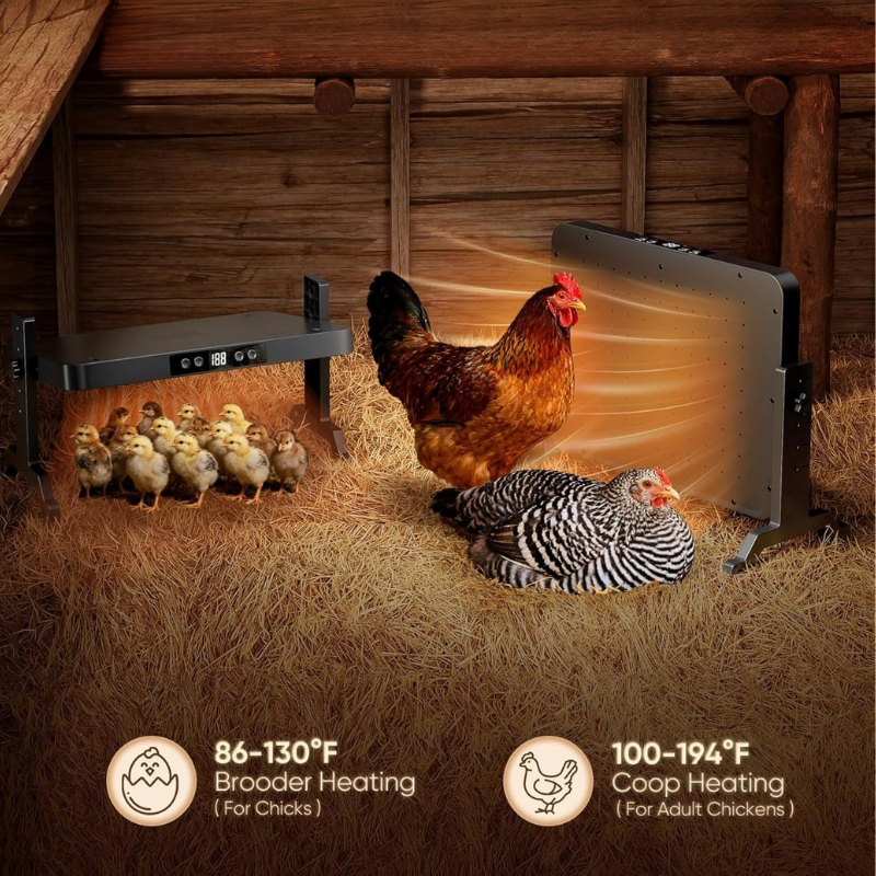 Chicken coop with chickens and chicks near a heating device, showing temperature ranges.