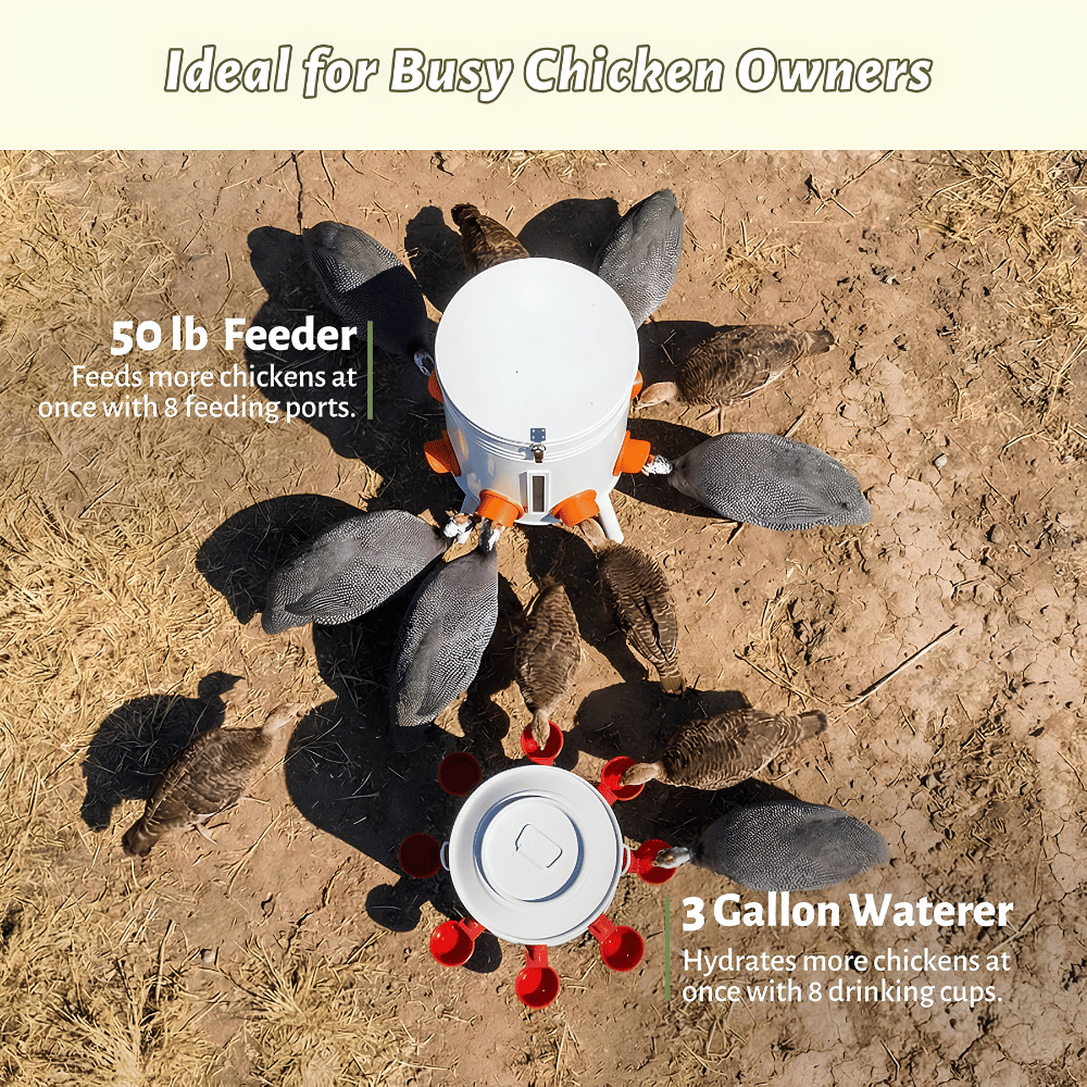 Coop Master Feeder & Waterer Duo Set