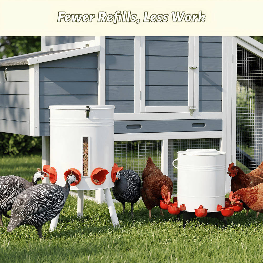 Coop Master Feeder & Waterer Duo Set