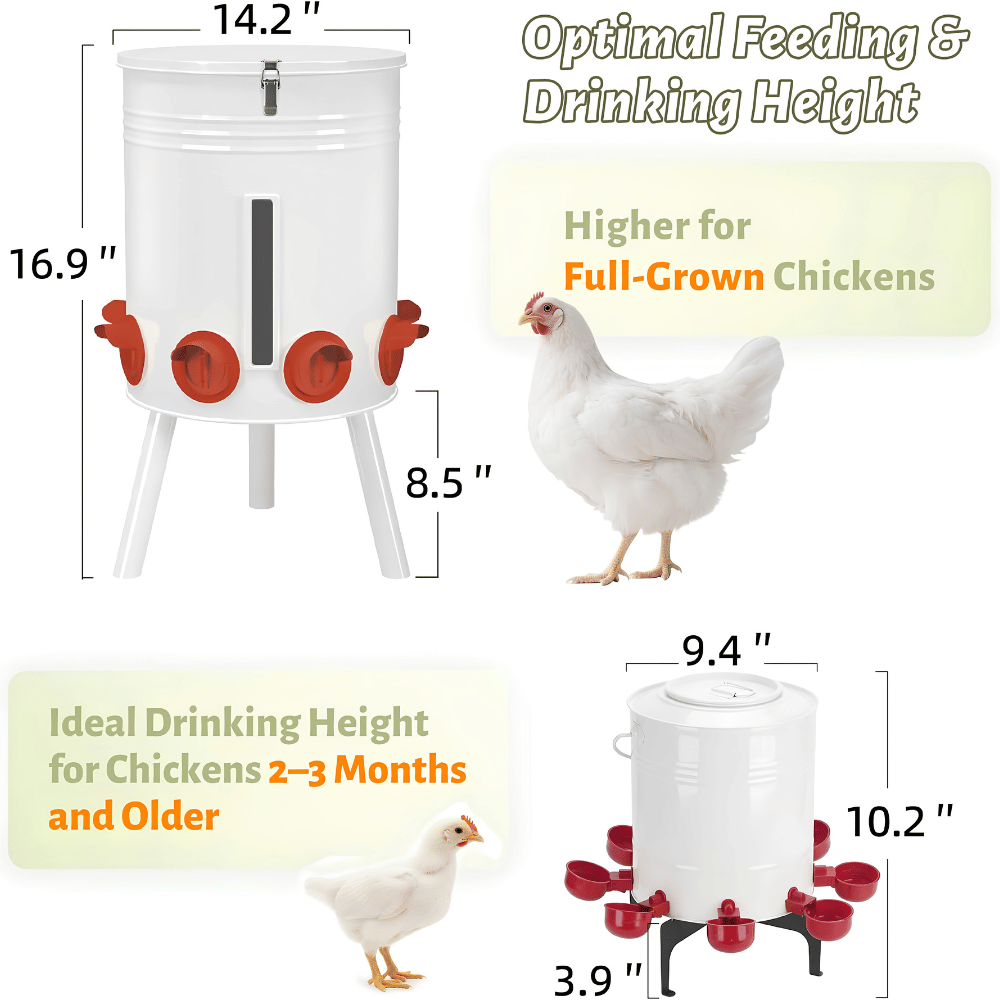 Coop Master Feeder & Waterer Duo Set