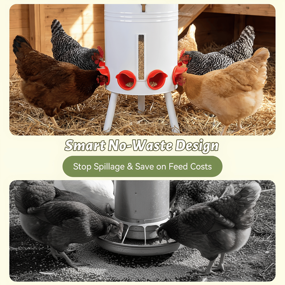 Coop Master Feeder & Waterer Duo Set
