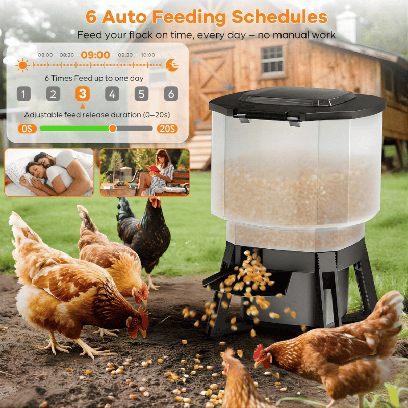 Solar-powered chicken feeder with chickens around in a garden setting