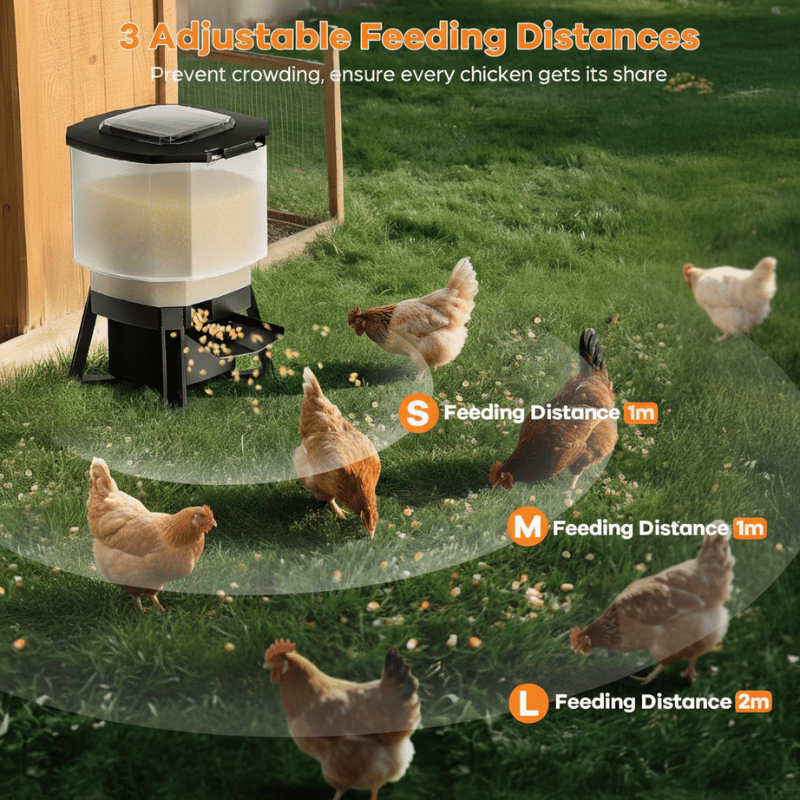 Chicken feeder with adjustable feeding distances shown in a grassy area with chickens around.