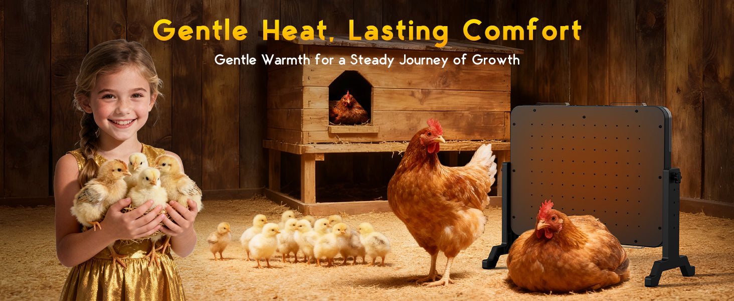 Child holding chicks with chickens and a heating pad in a barn setting, emphasizing comfort and warmth.